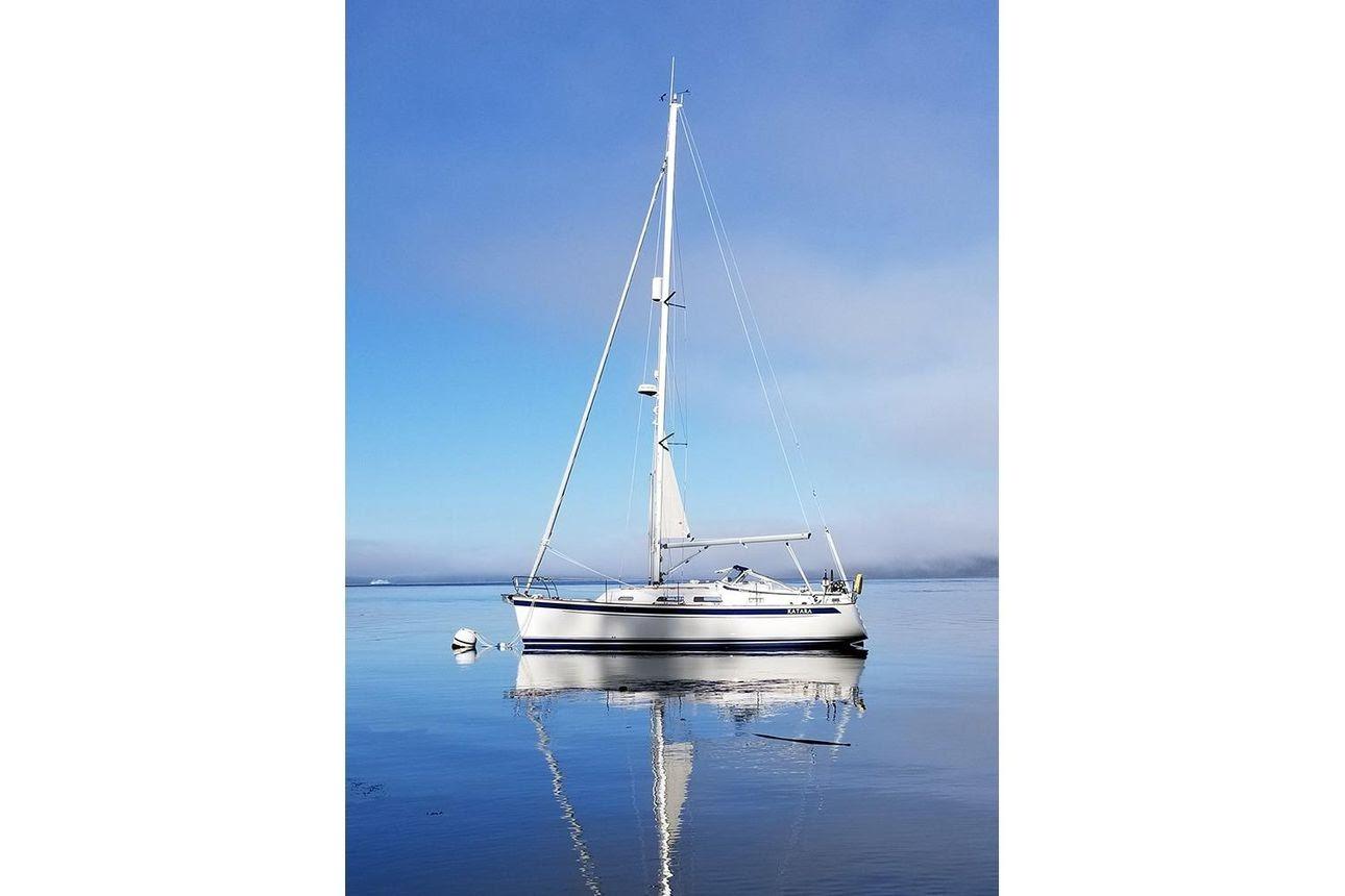 2020 Hallberg-Rassy 310