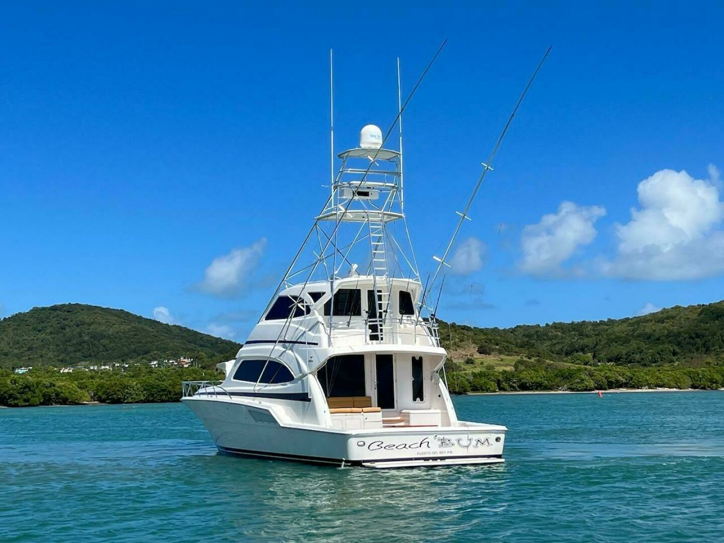2004 Bertram 67 - Image 6