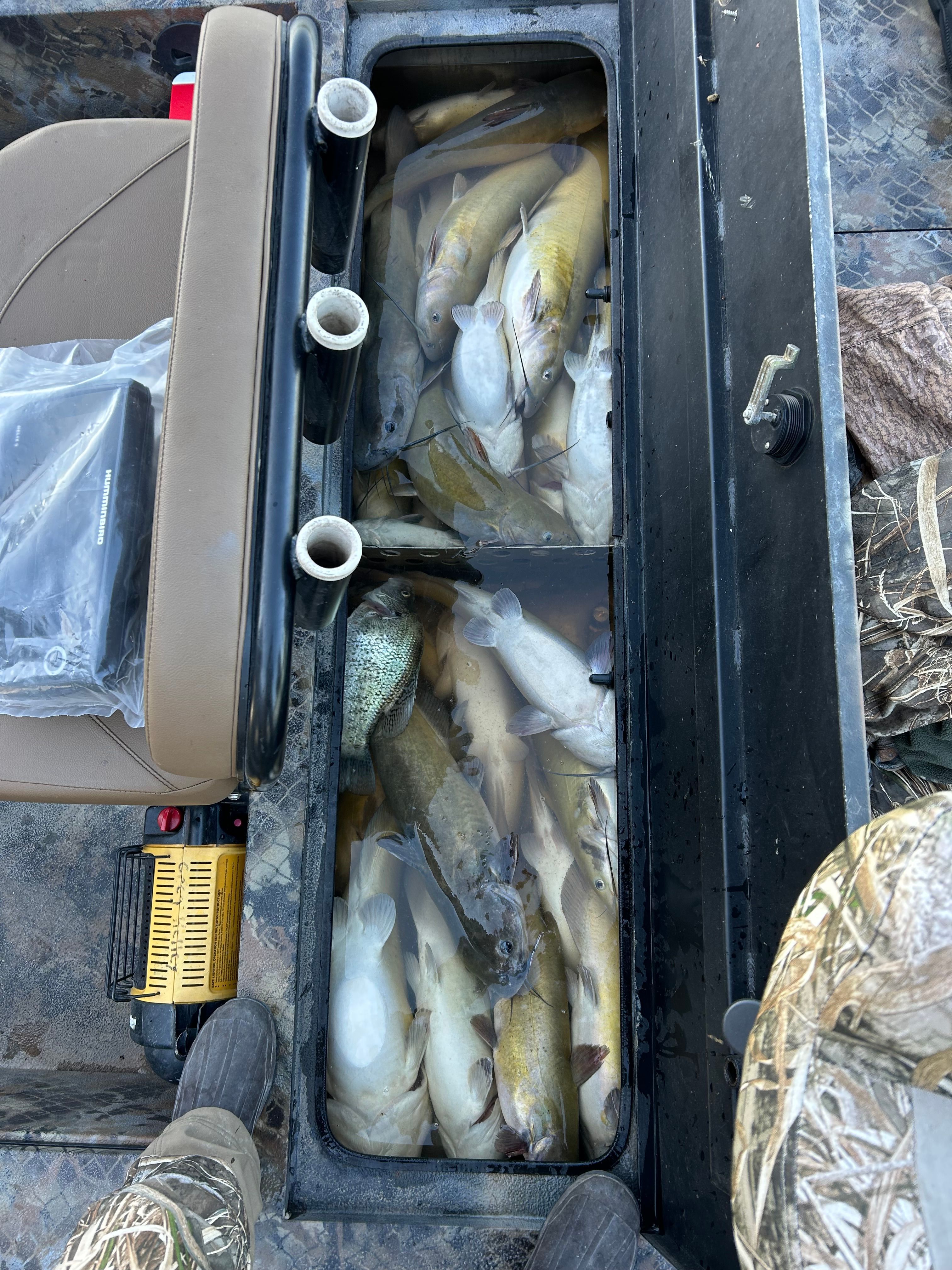 2021 Excel 21 Catfish Pro SC - 3