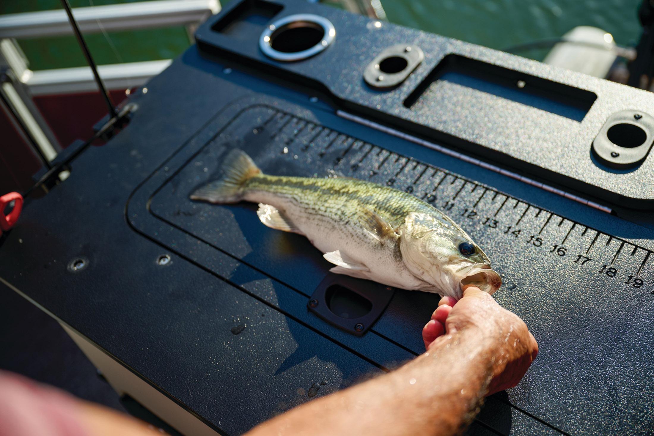 2026 Sun Tracker Fishin' Barge 22 DLX - 88