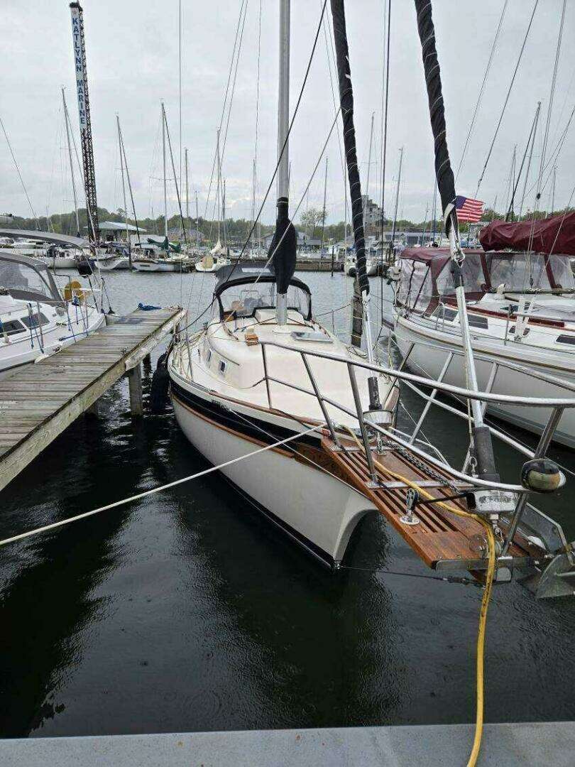 1985 Bayfield — - Image 3