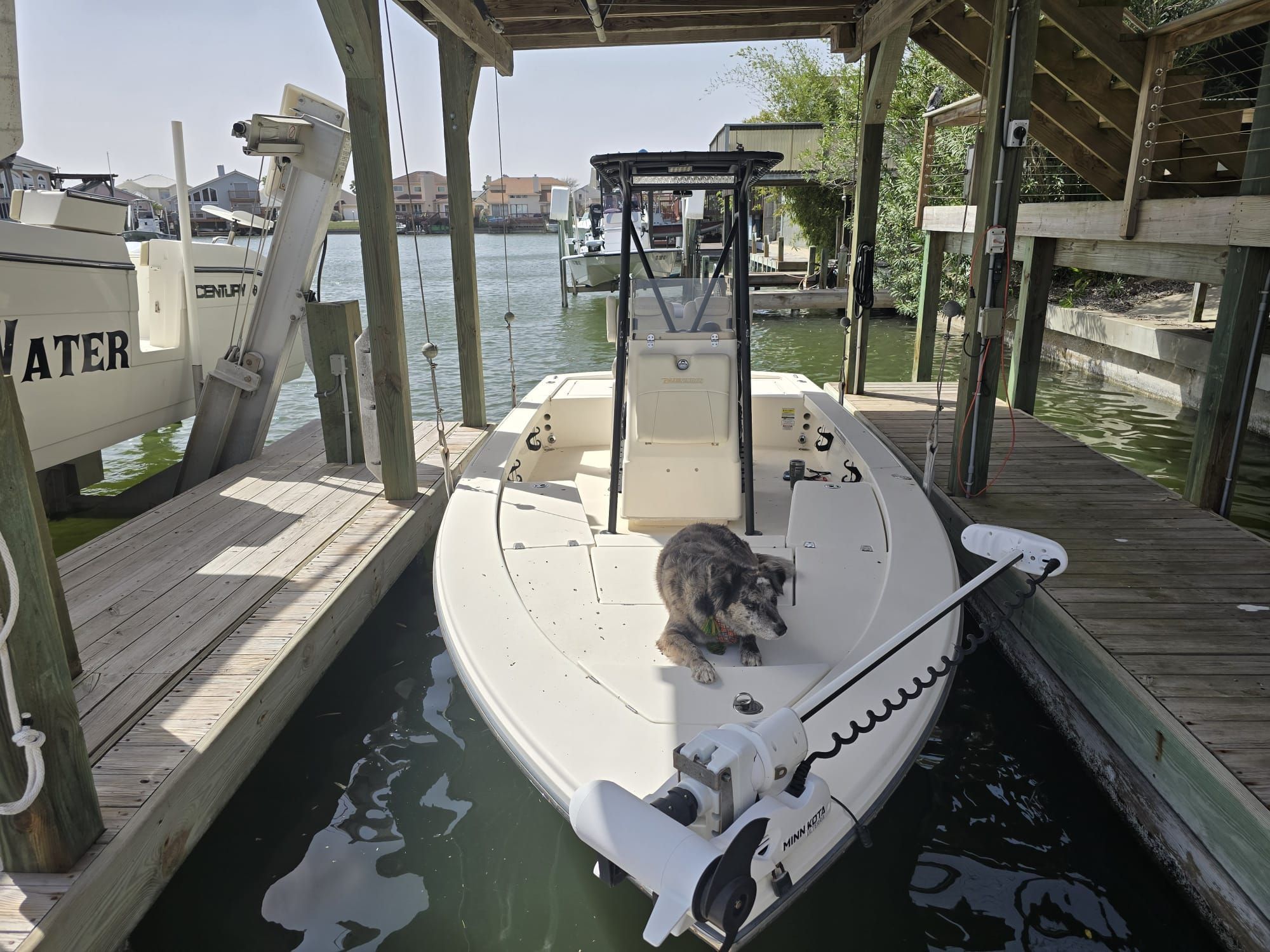 A boat with a dog on board is docked in a covered boathouse by the water.