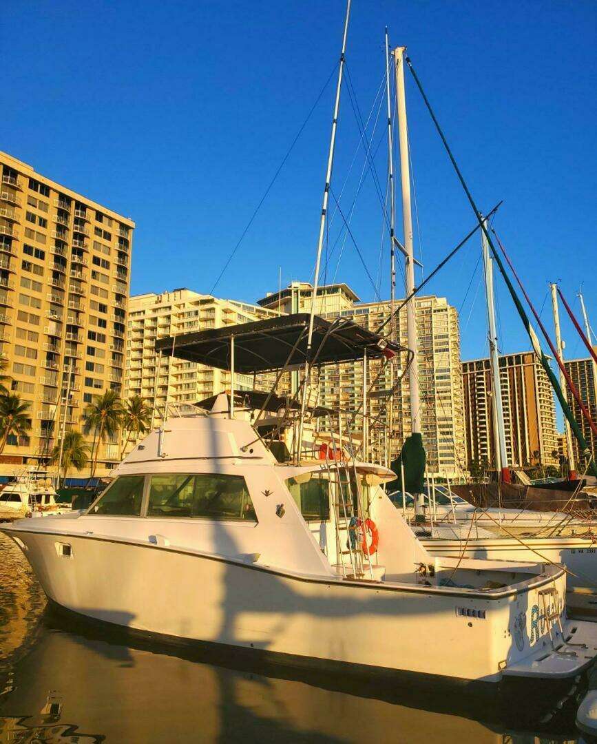 1979 Bertram 38 Convertible Sportfisher - Image 17