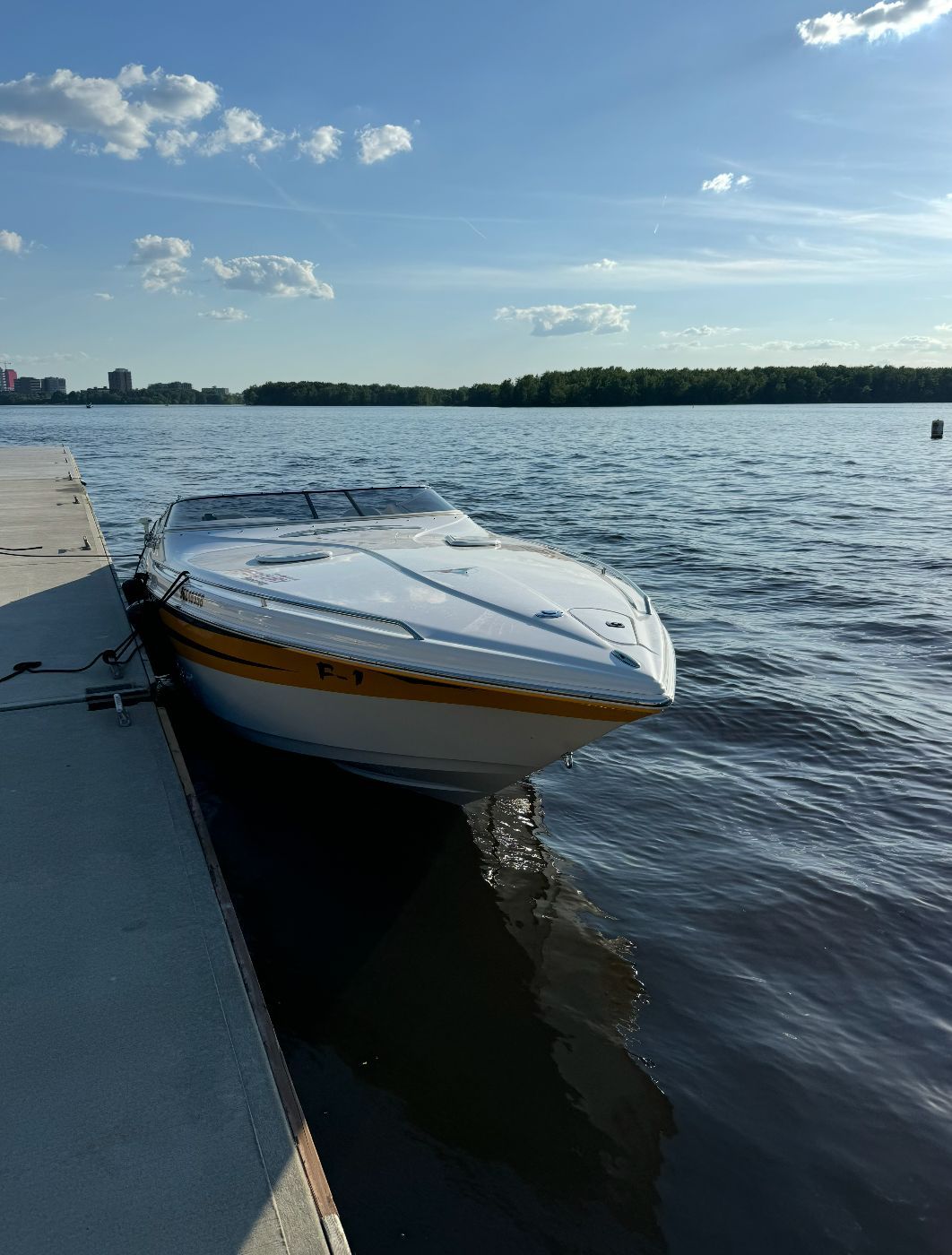 2005 Campion Chase 910i - 5