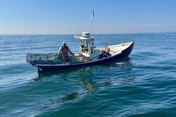 2015 Hammond Power Dory
