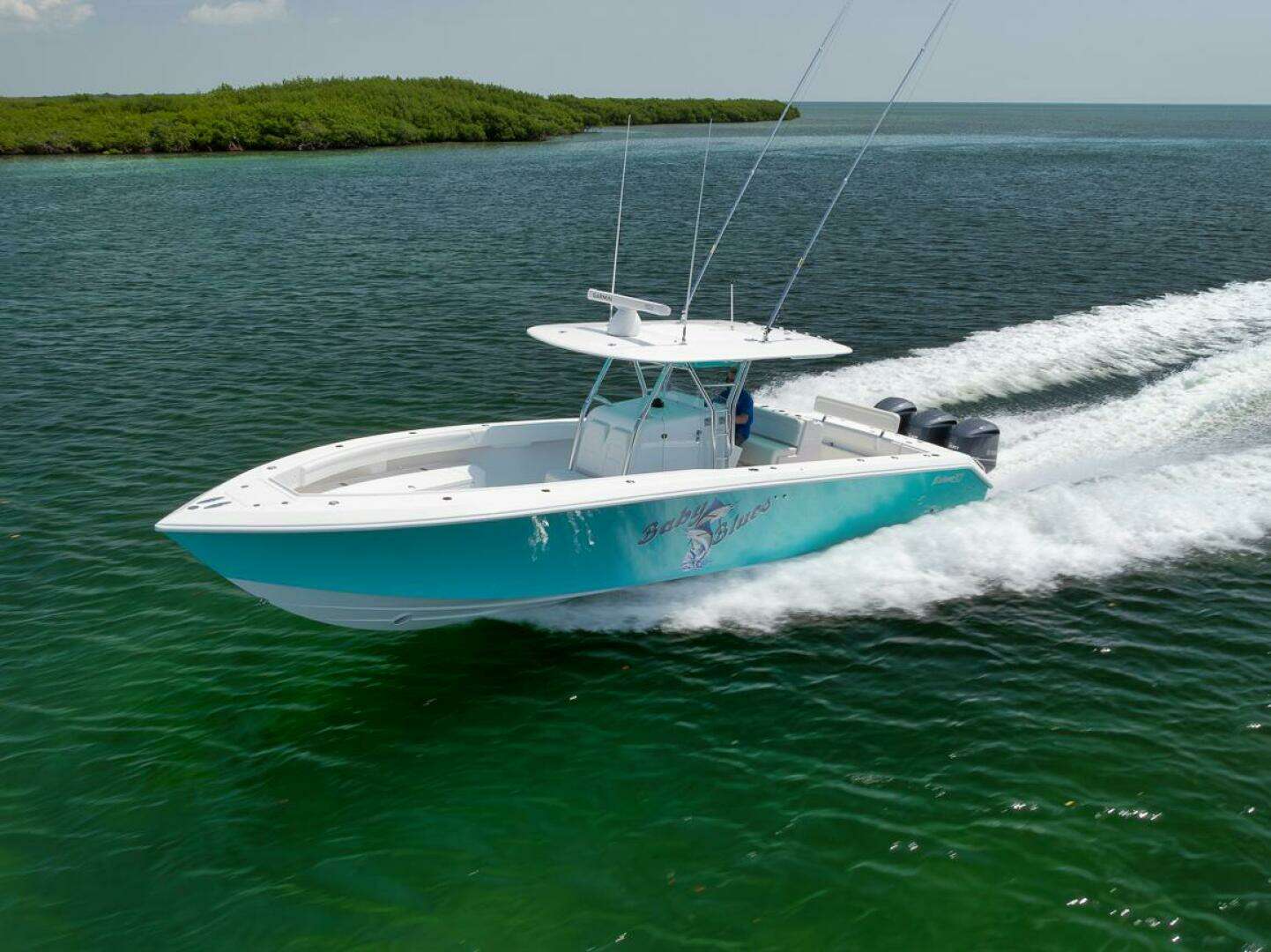 2013 Bahama — - Image 10