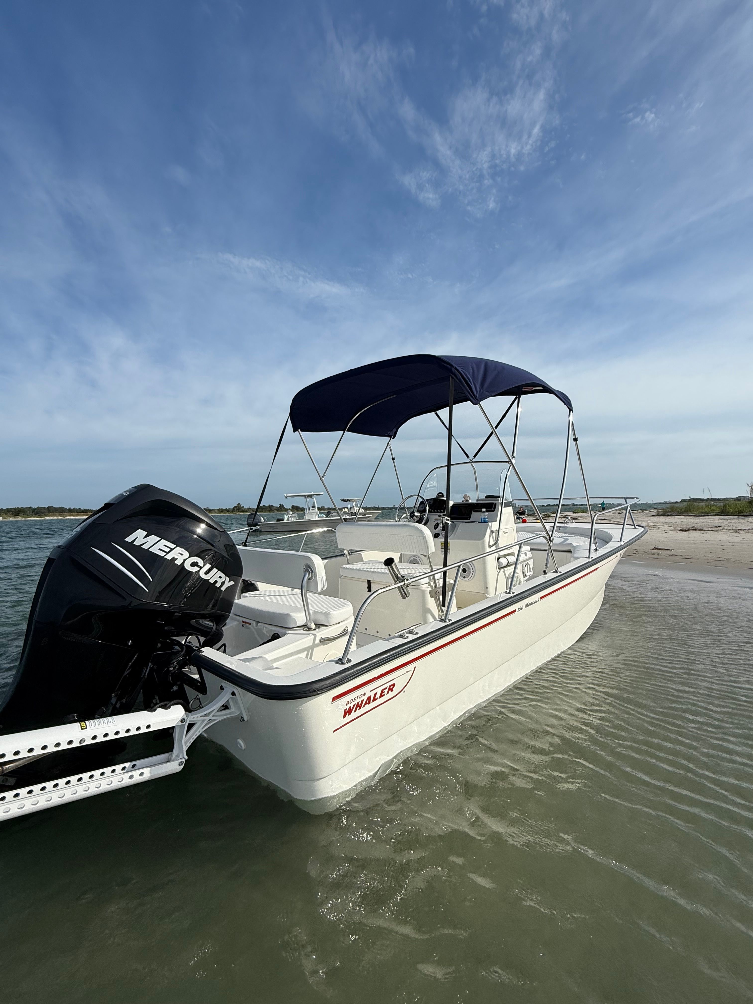 2009 Boston Whaler 190 Montauk - 5