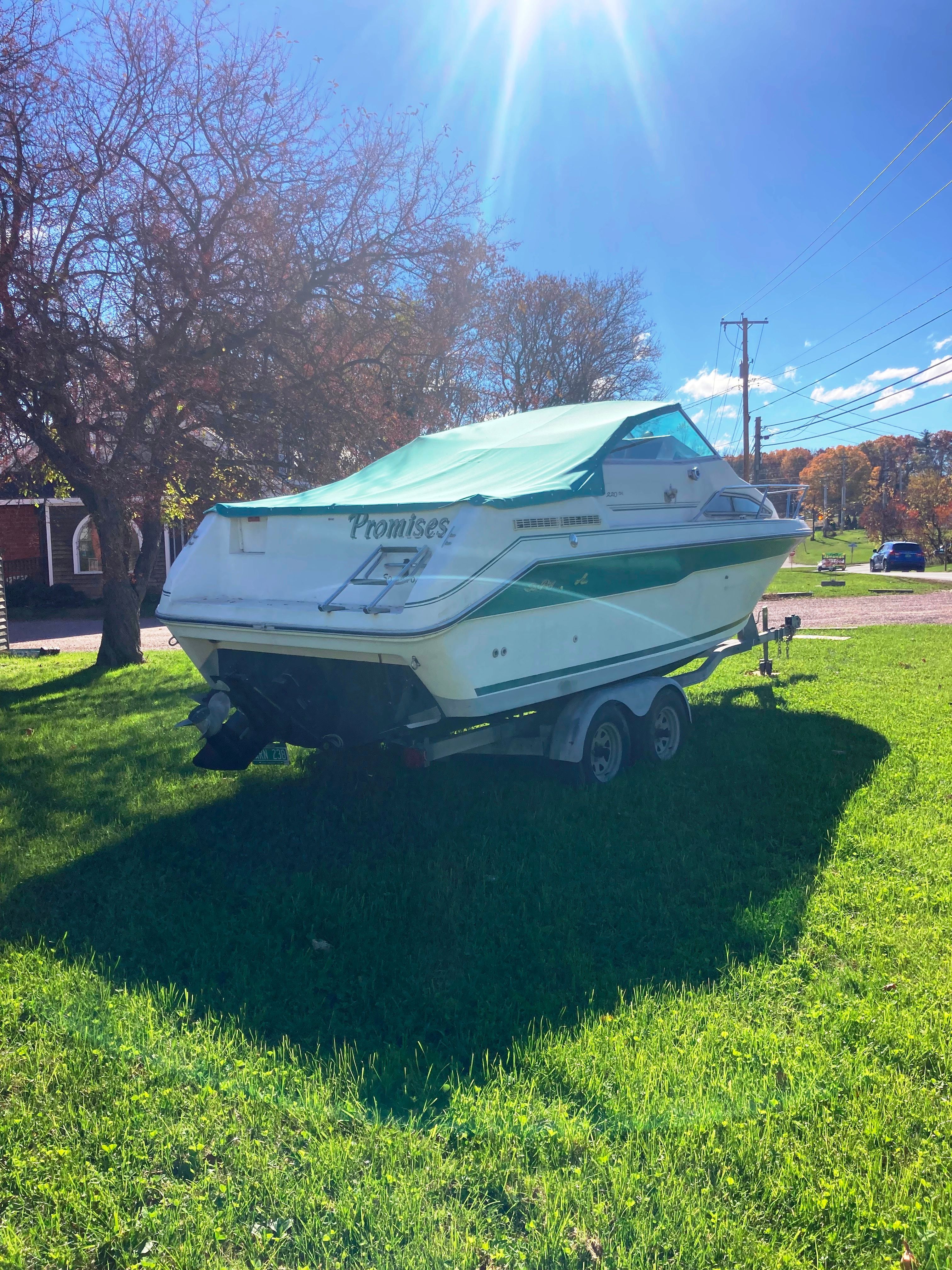 A 1991 Sea Ray 220 Sundancer sits on a trailer on a grassy lawn.