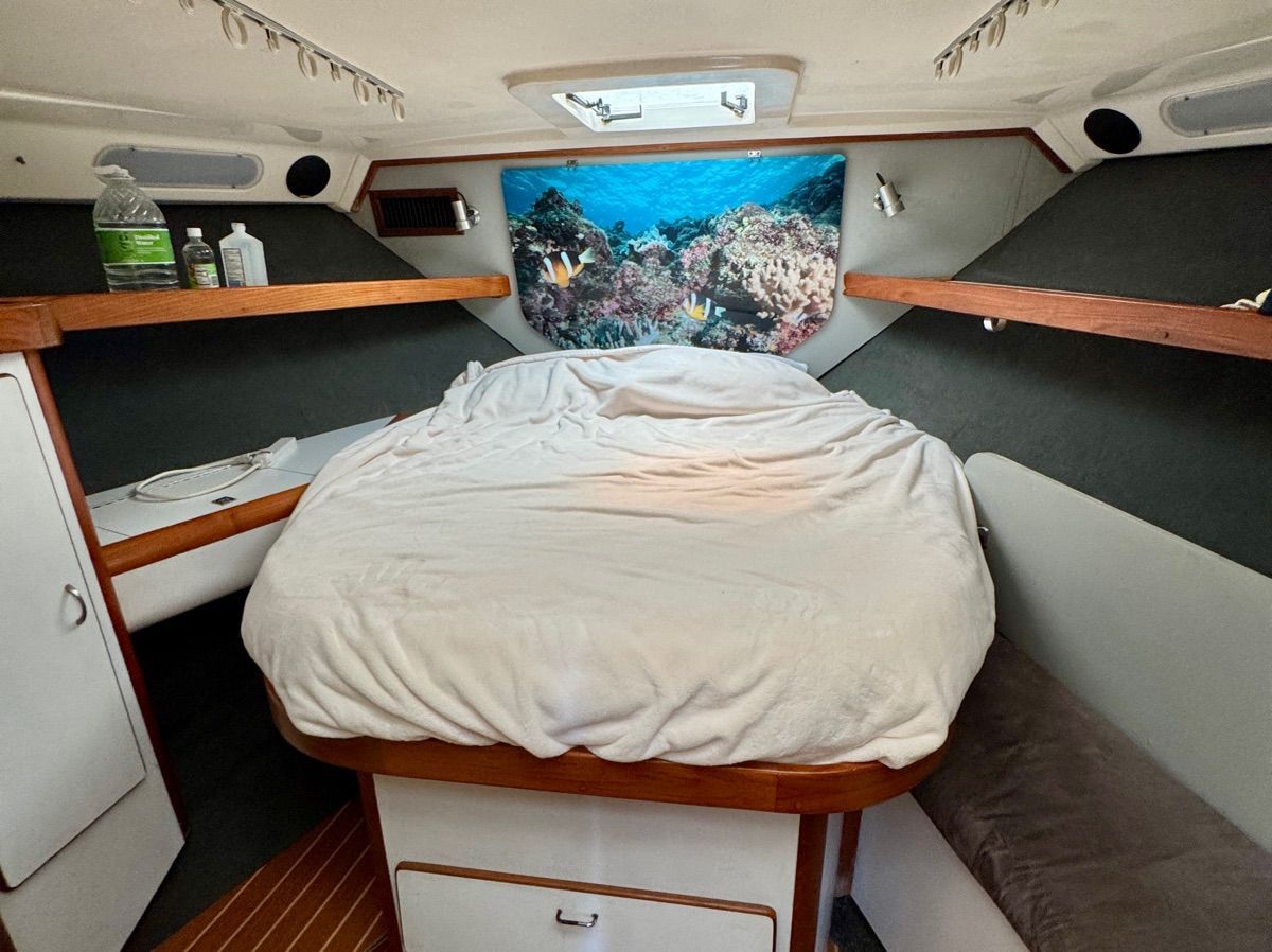 Cabin of the 1989 Luhrs 350 Tournament with a cozy bed and ocean artwork.