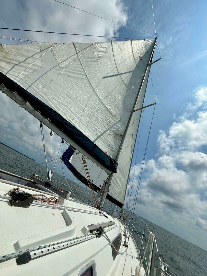 2002 Jeanneau 34.2 - Image 38
