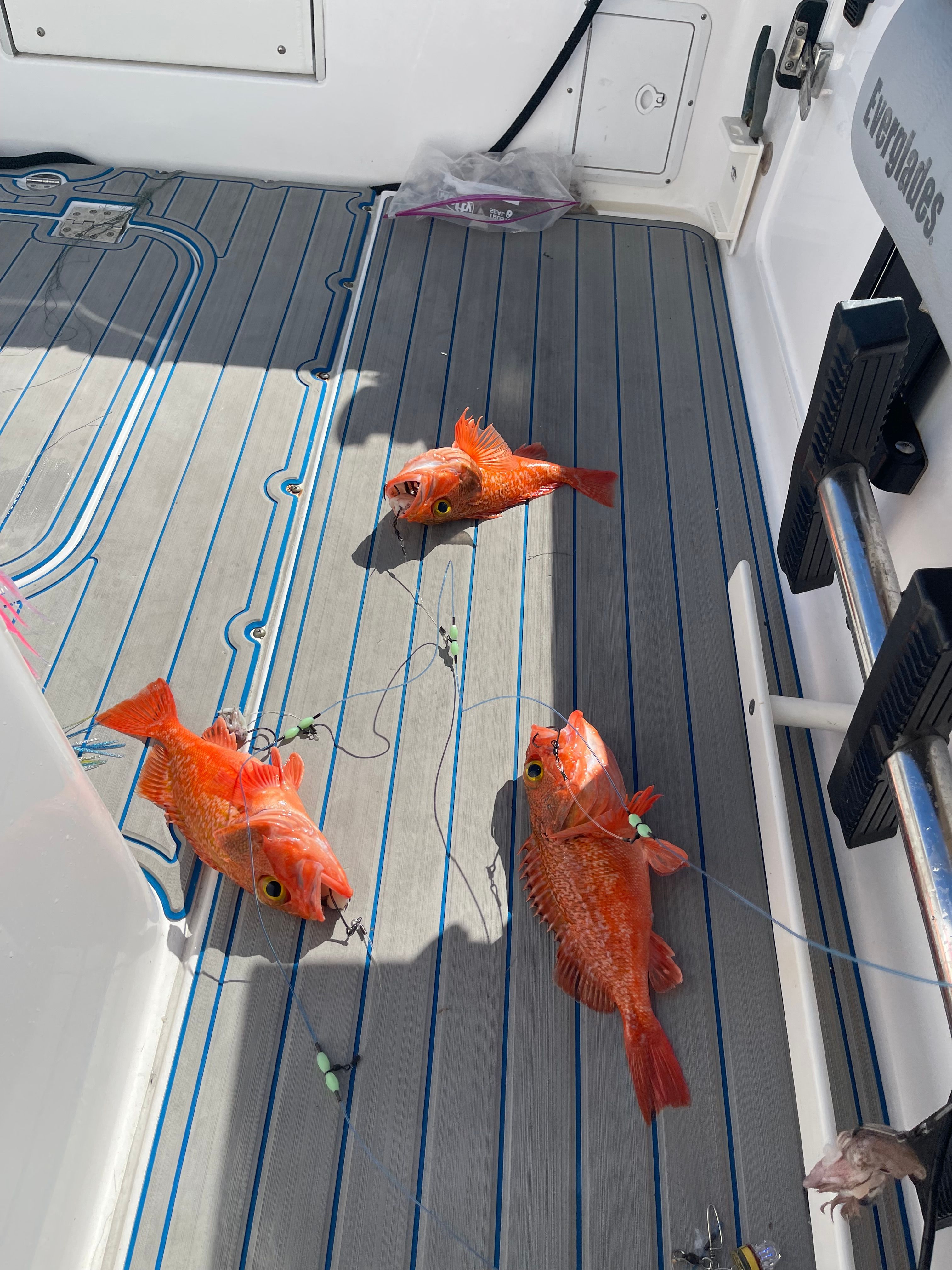 2017 Everglades 325 Center Console - 47