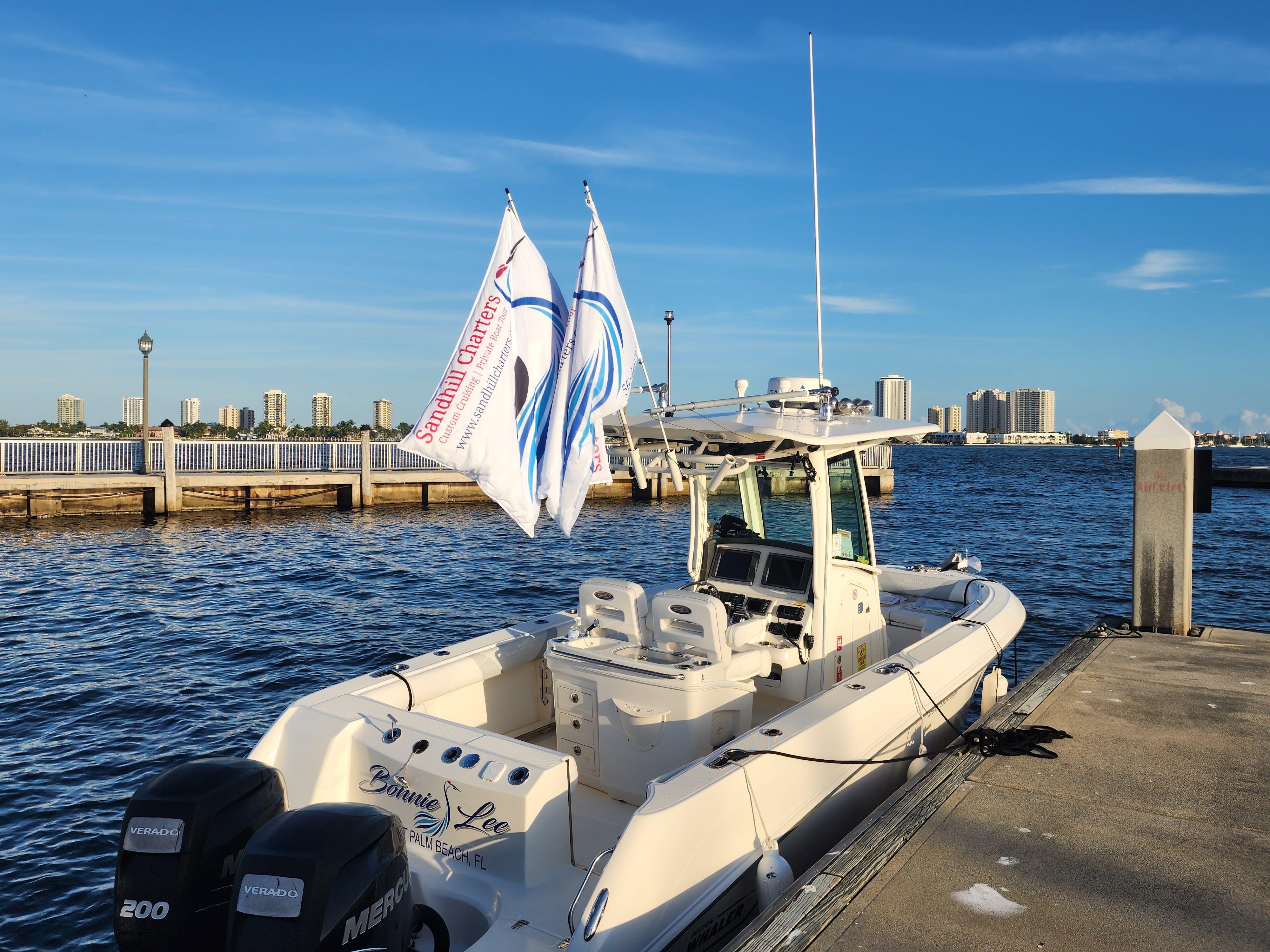 2014 Boston Whaler 250 Outrage - 5