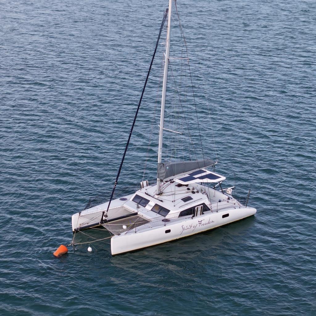 2011 Dazcat 1195