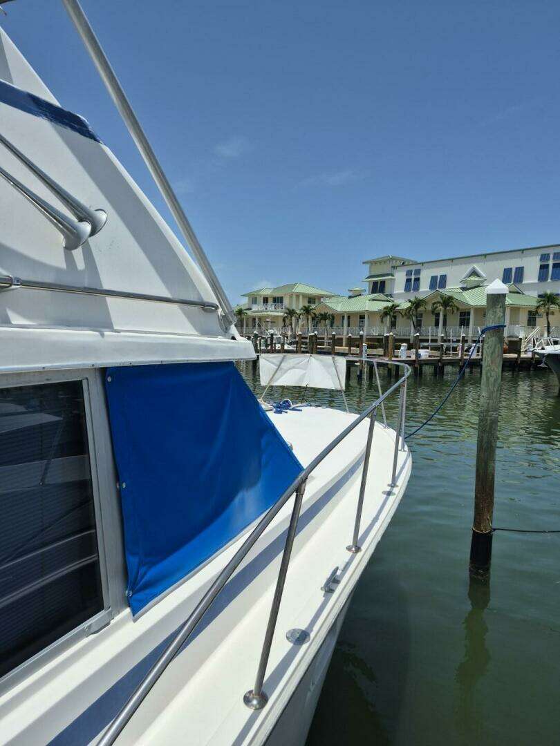 1982 Bertram 38 Convertible - Image 14