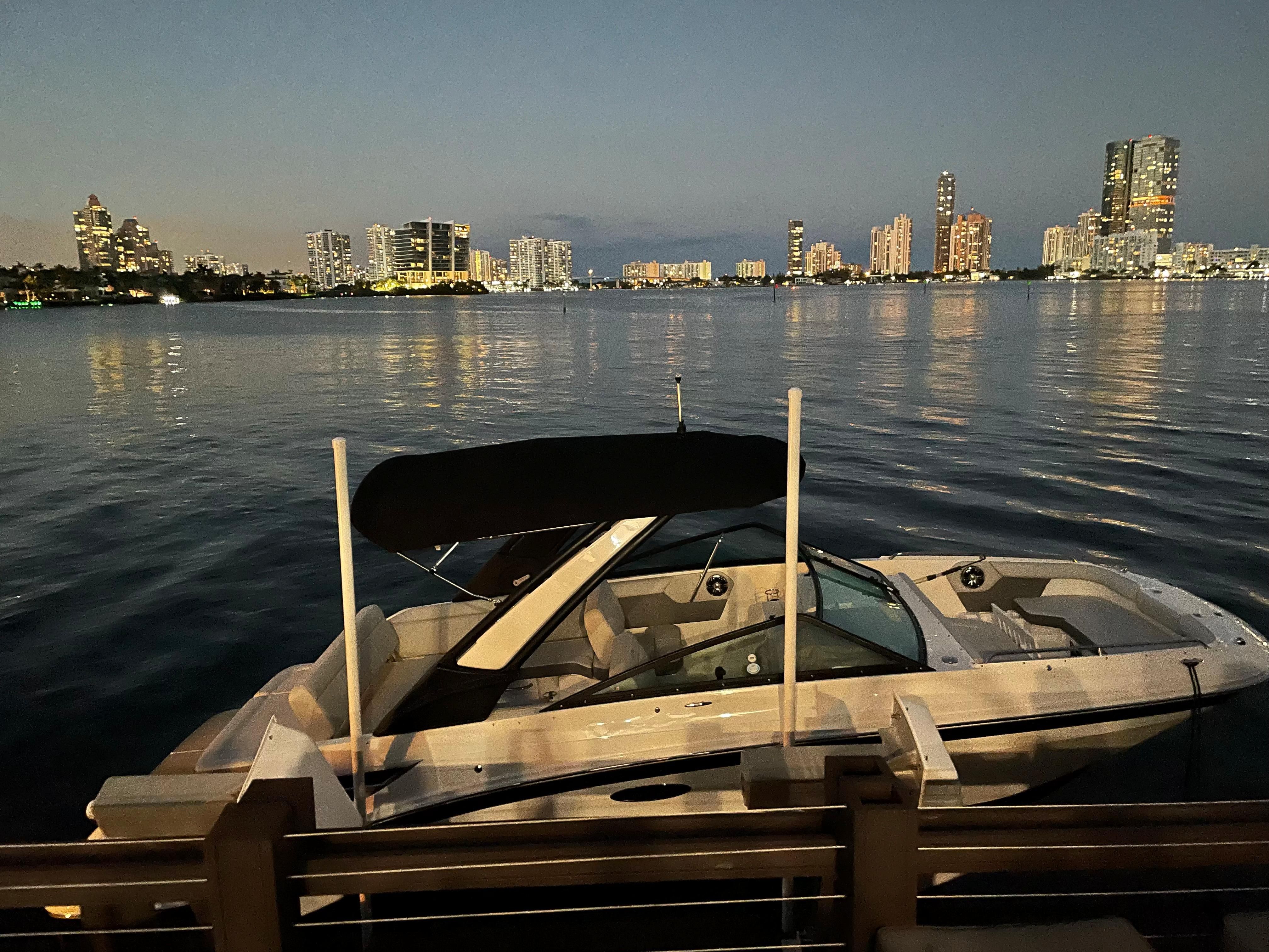 2022 Sea Ray SDX 250 - 4