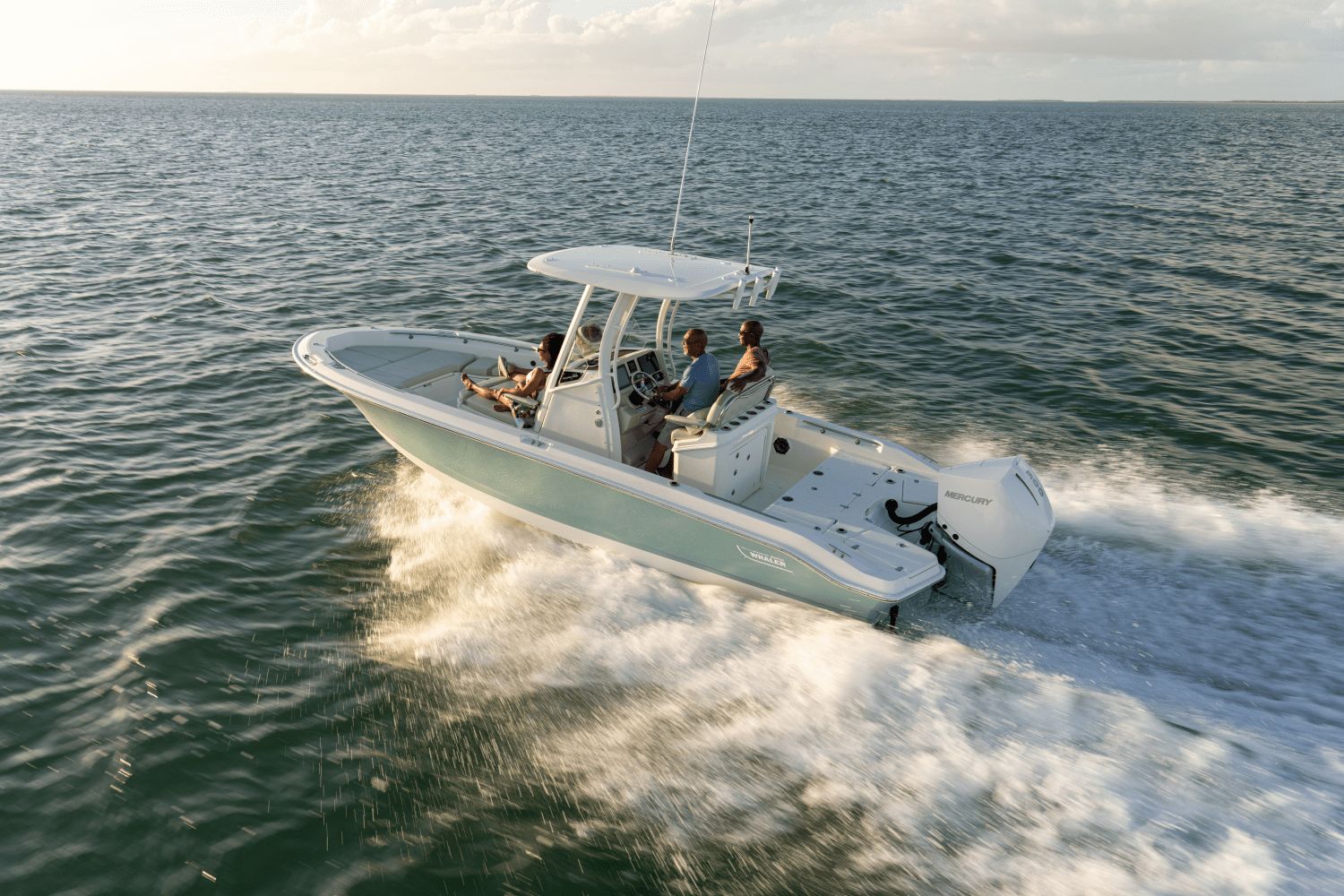 2026 Boston Whaler 250 Dauntless - 30