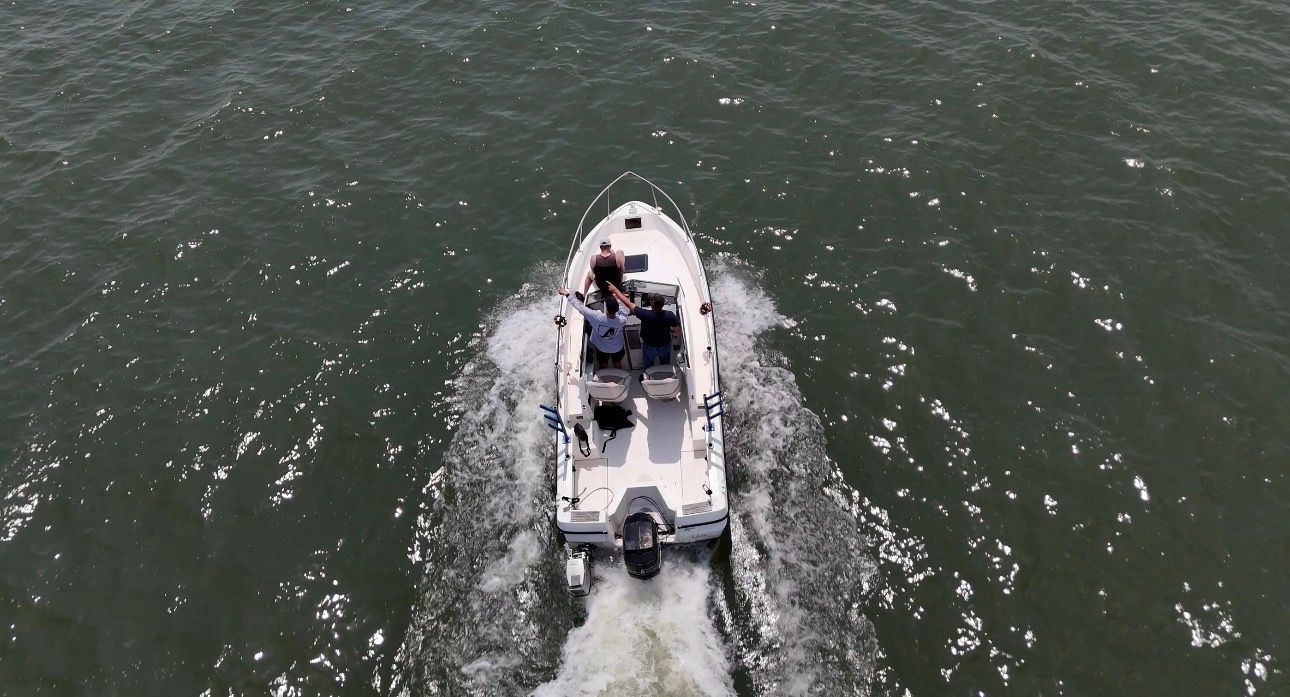 1995 Bayliner Trophy
