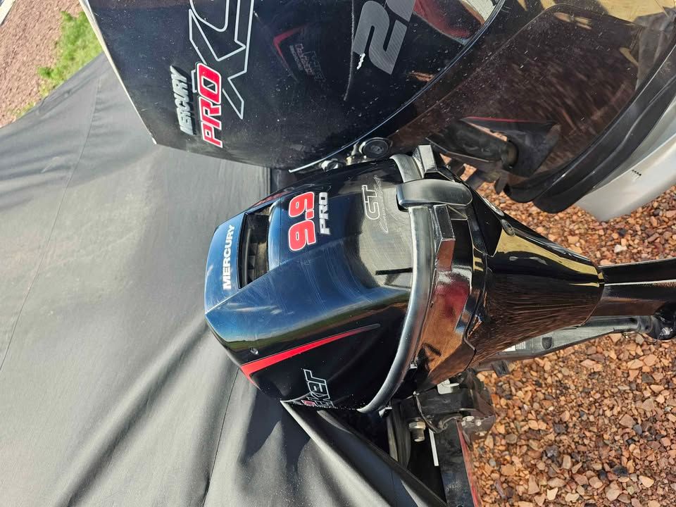 Mercury Pro 9.9 outboard motor on a Lund 1975 Tyee boat, year 2020.