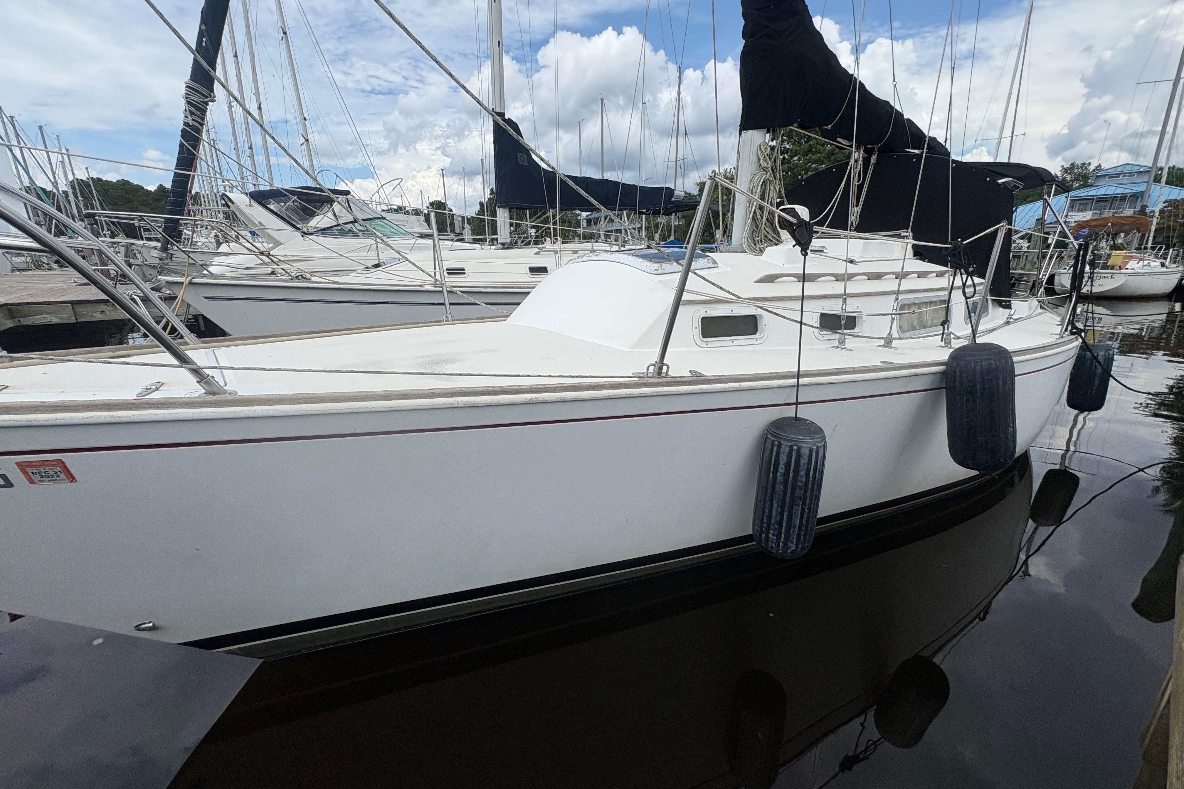 1981 Sabre 31 sailboat docked at marina, featuring white hull and black fenders.