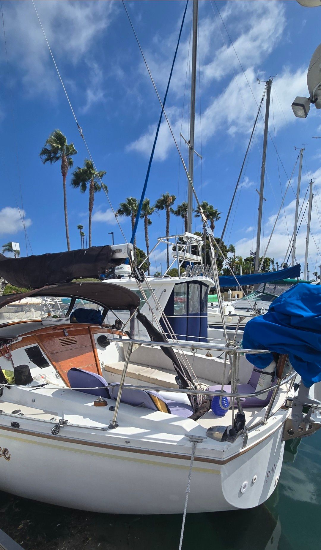 A 1977 Catalina 30 docked in a marina. Palm trees and other boats are visible in the background.