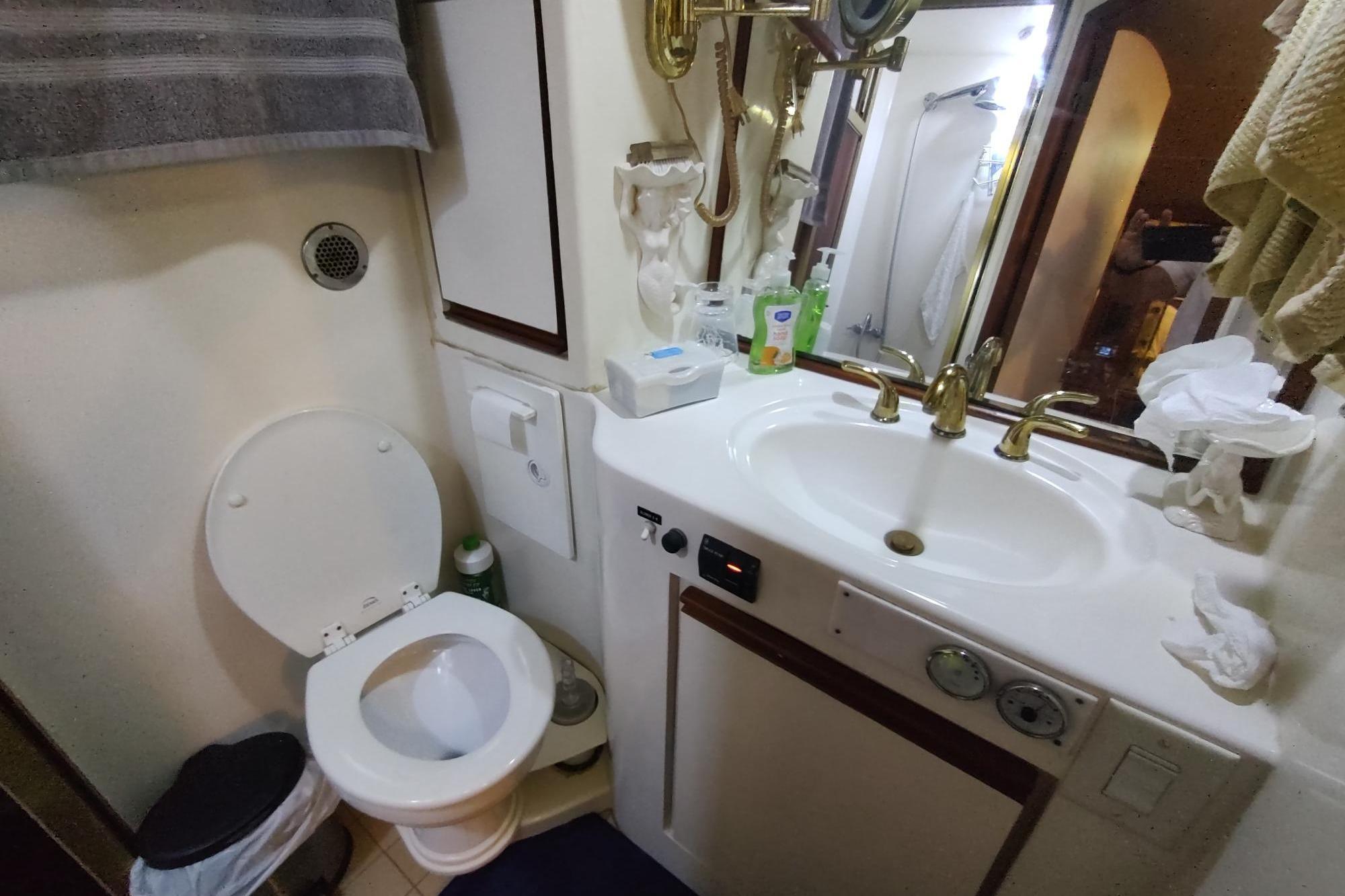 Bathroom interior of a 1989 Hyatt Double Cabin Motoryacht, featuring sink and toilet.