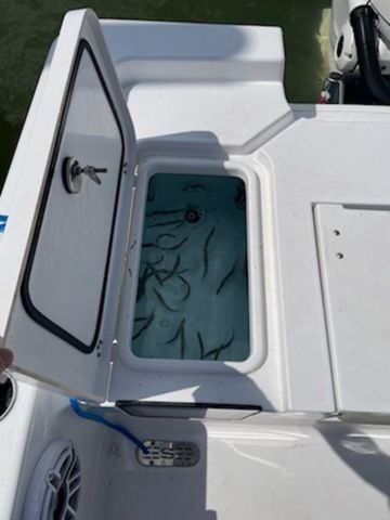 2025 Sportsman Masters 247OE Bay Boat - 9