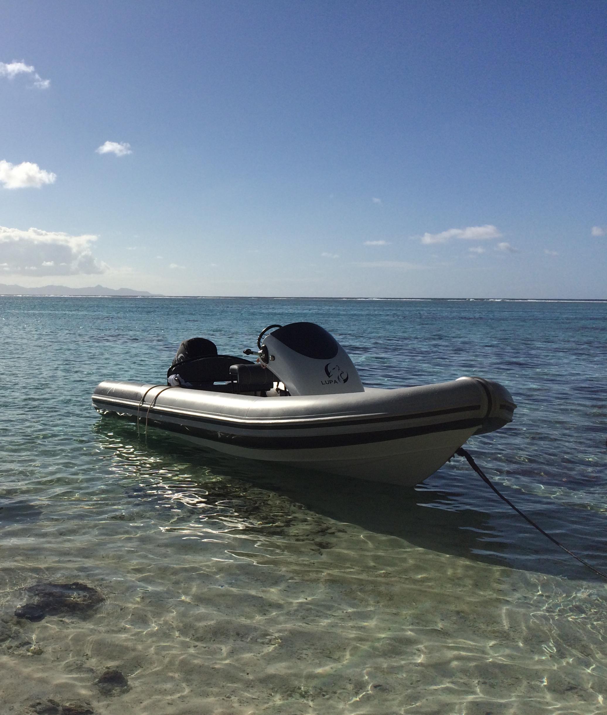 2014 Rib-X XP590