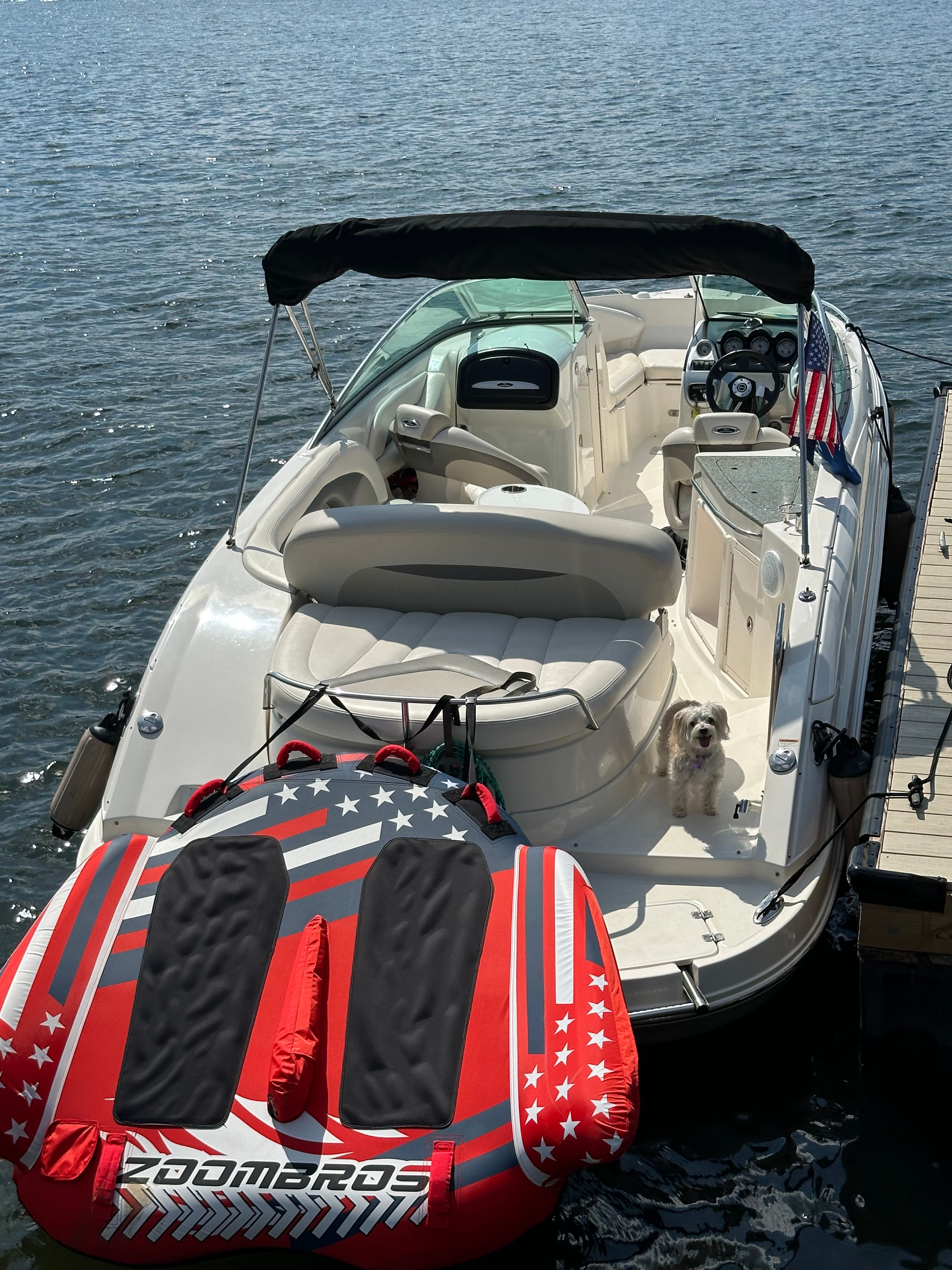 A 2007 Chaparral 256 SSX boat docked. A dog is sitting on board.