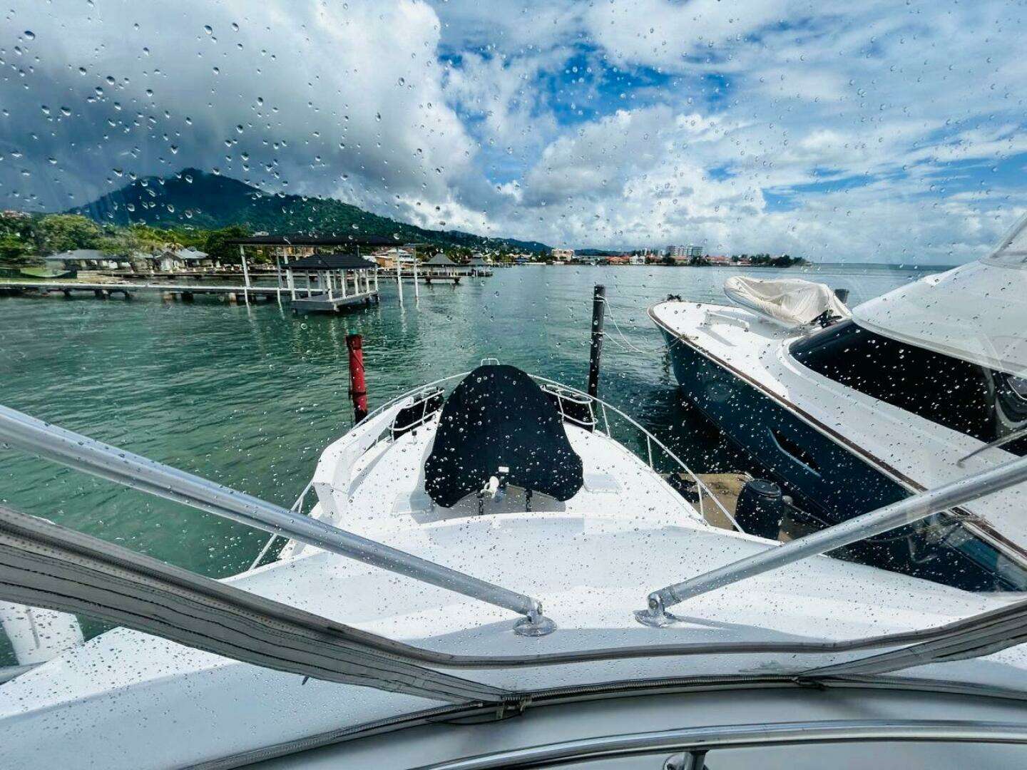 1988 Bertram 54' - Image 4
