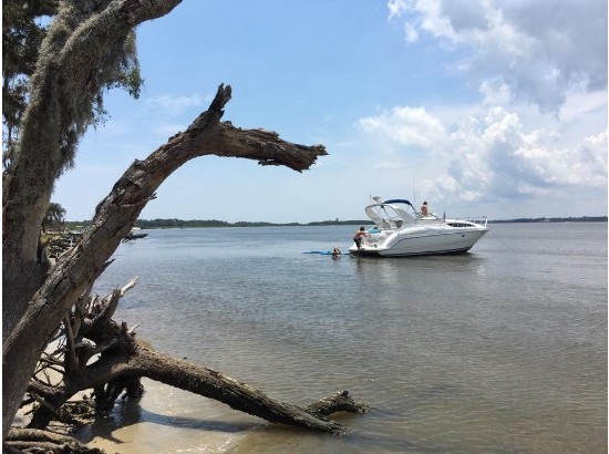 Bayliner 3055 Ciera Sunbridge 2000 anchored near a scenic shoreline with a fallen tree.
