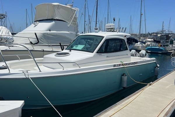 2024 Custom Blue whale 36OB