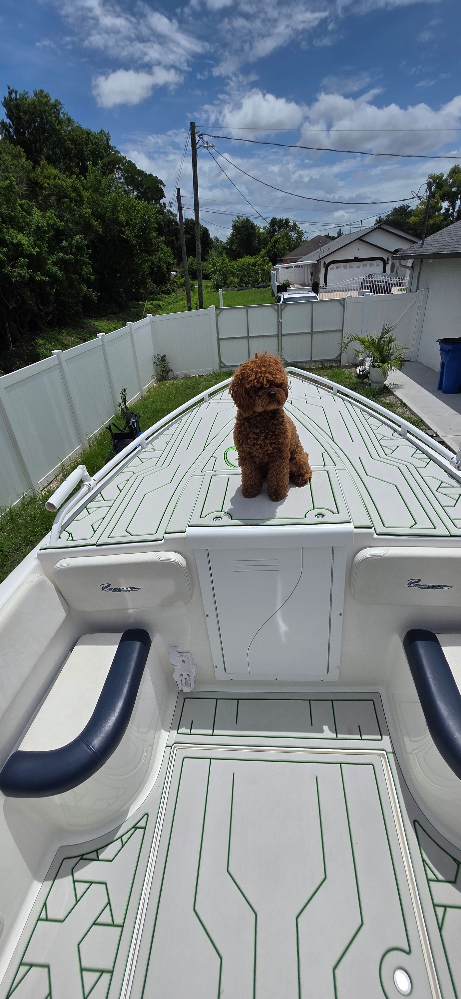 Dog on 2013 Renegade 32 FT boat under sunny skies.