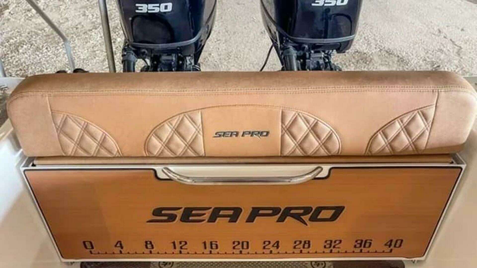 2025 Sea Pro — - Image 10