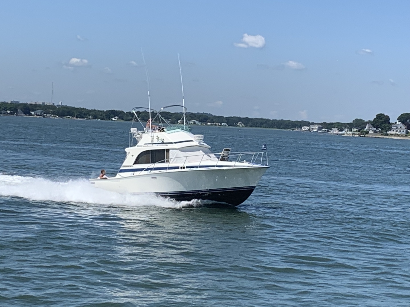 1985 Bertram Flybridge Cruiser - Image 3