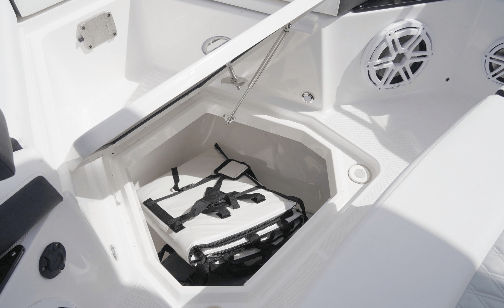 2025 Blackfin 272CC - Image 36