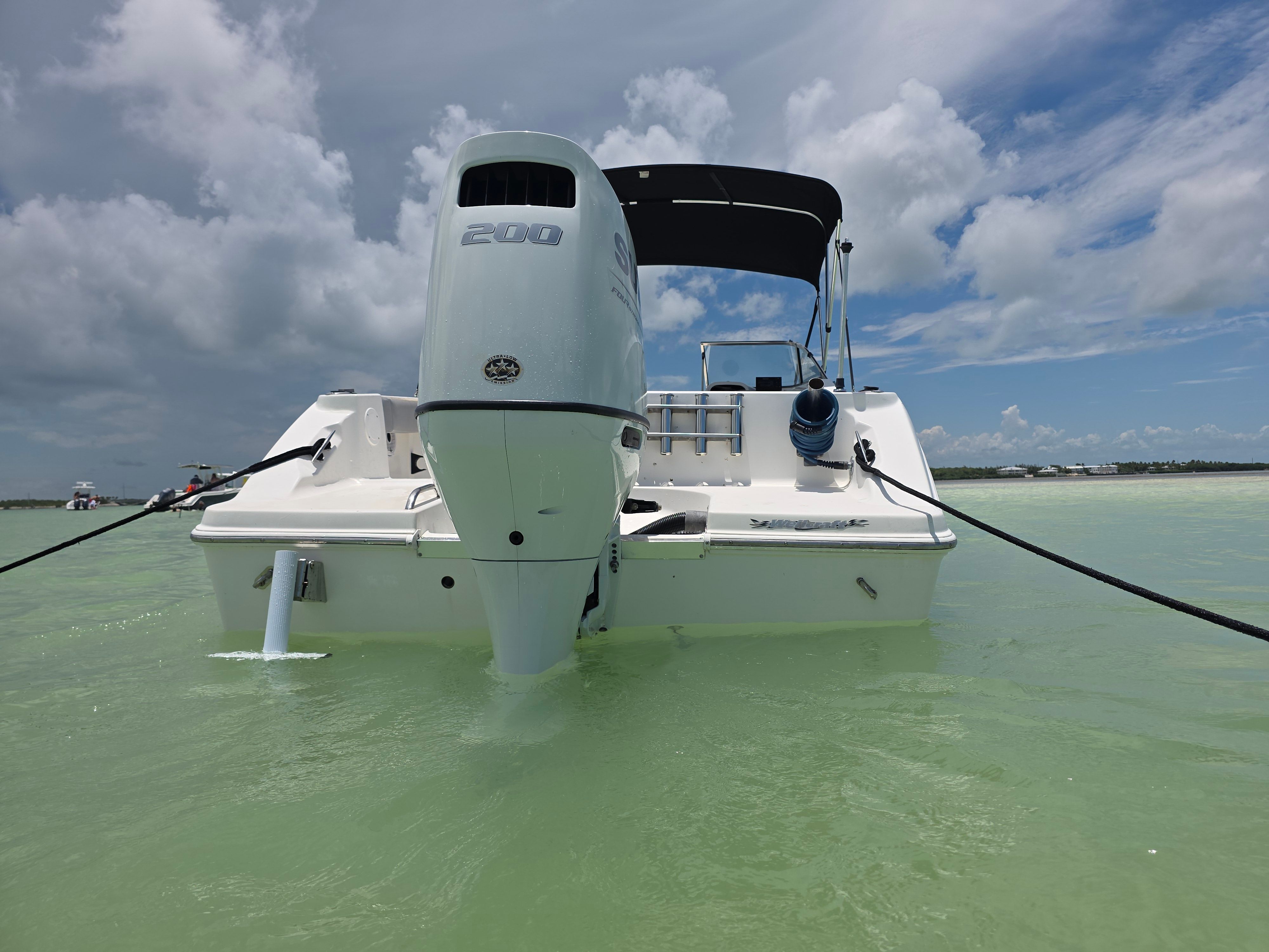 Wellcraft Sportsman 2001 boat on water, rear view.