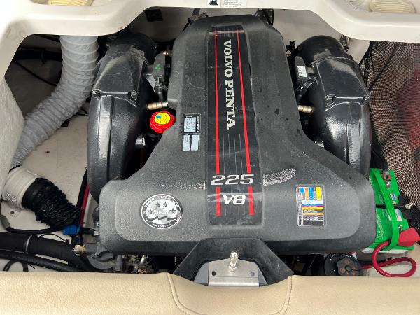 Volvo Penta 225 V8 engine in a 2013 Regal 1900 boat.