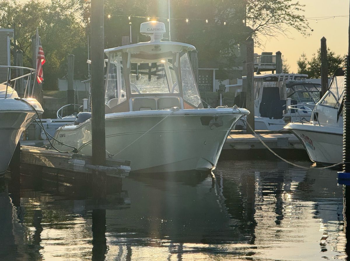A 2017 Sea Fox Commander 266 is docked in the water under the sun.