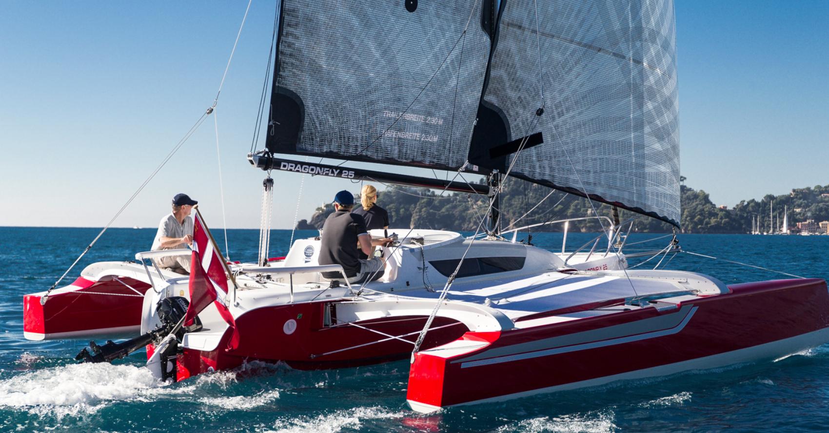Dragonfly 25
