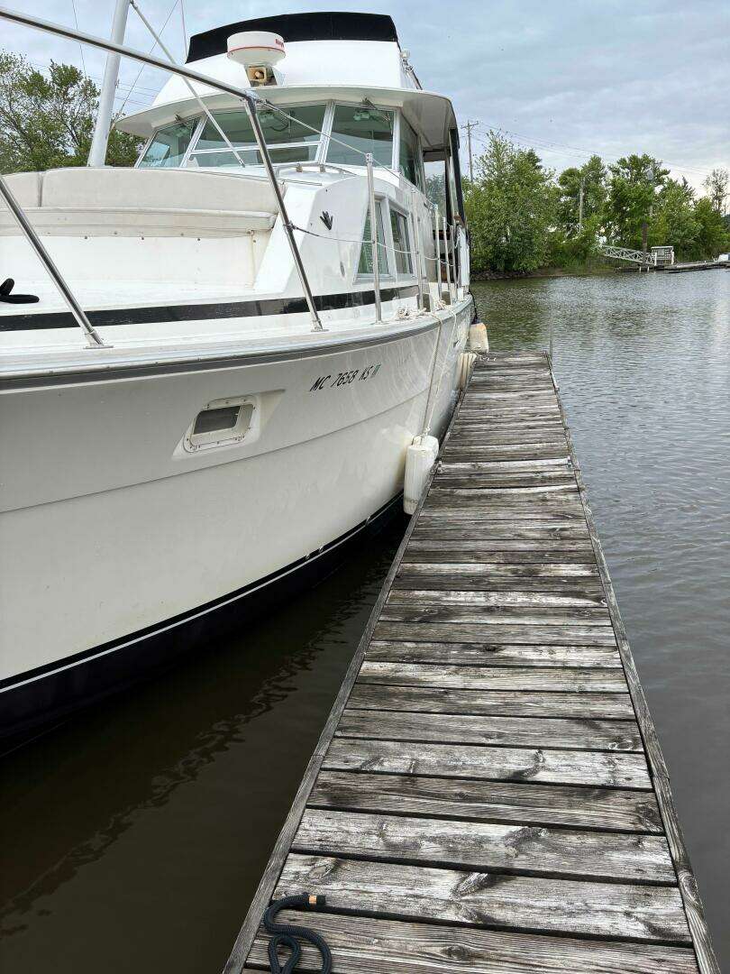 1977 Bertram 42 Motor Yacht - Image 5