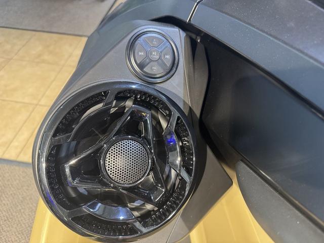 2025 Sea-Doo RXT-X 325 - 10