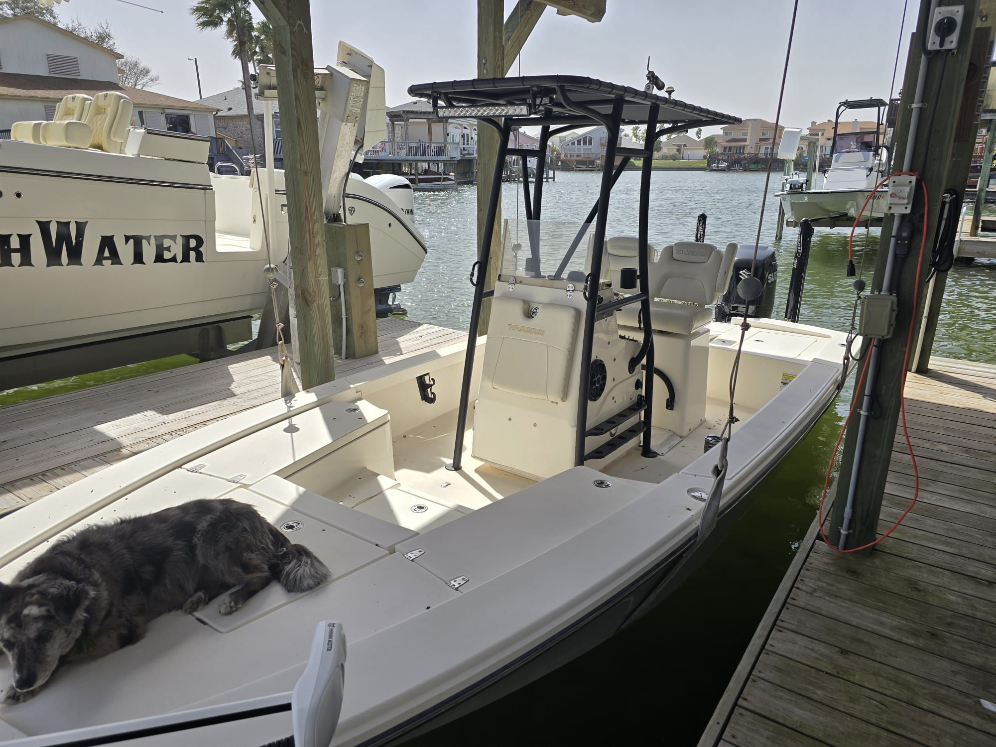 A boat is docked with a dog on board.