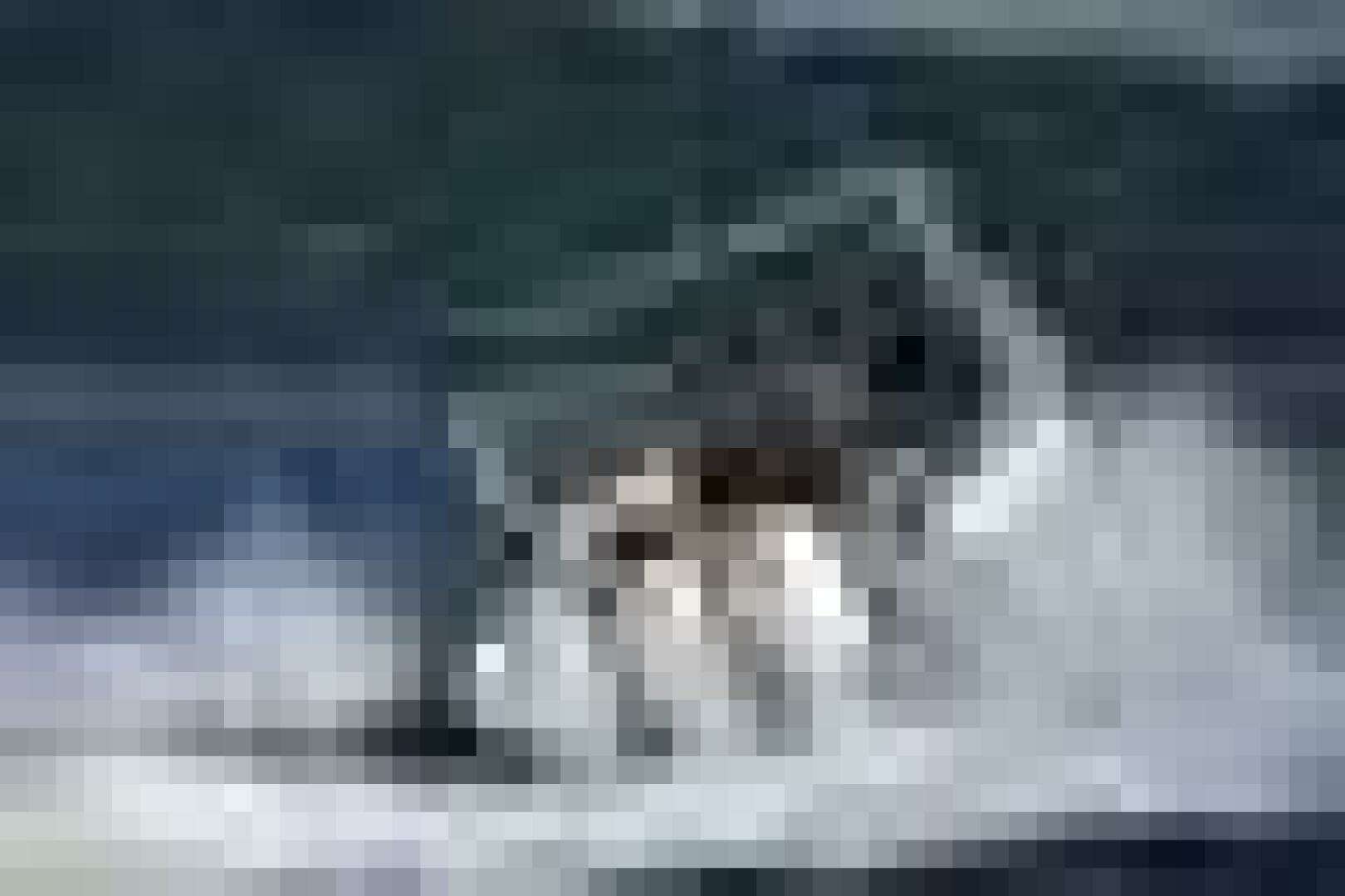 2020 Caymas 341CC - Image 15
