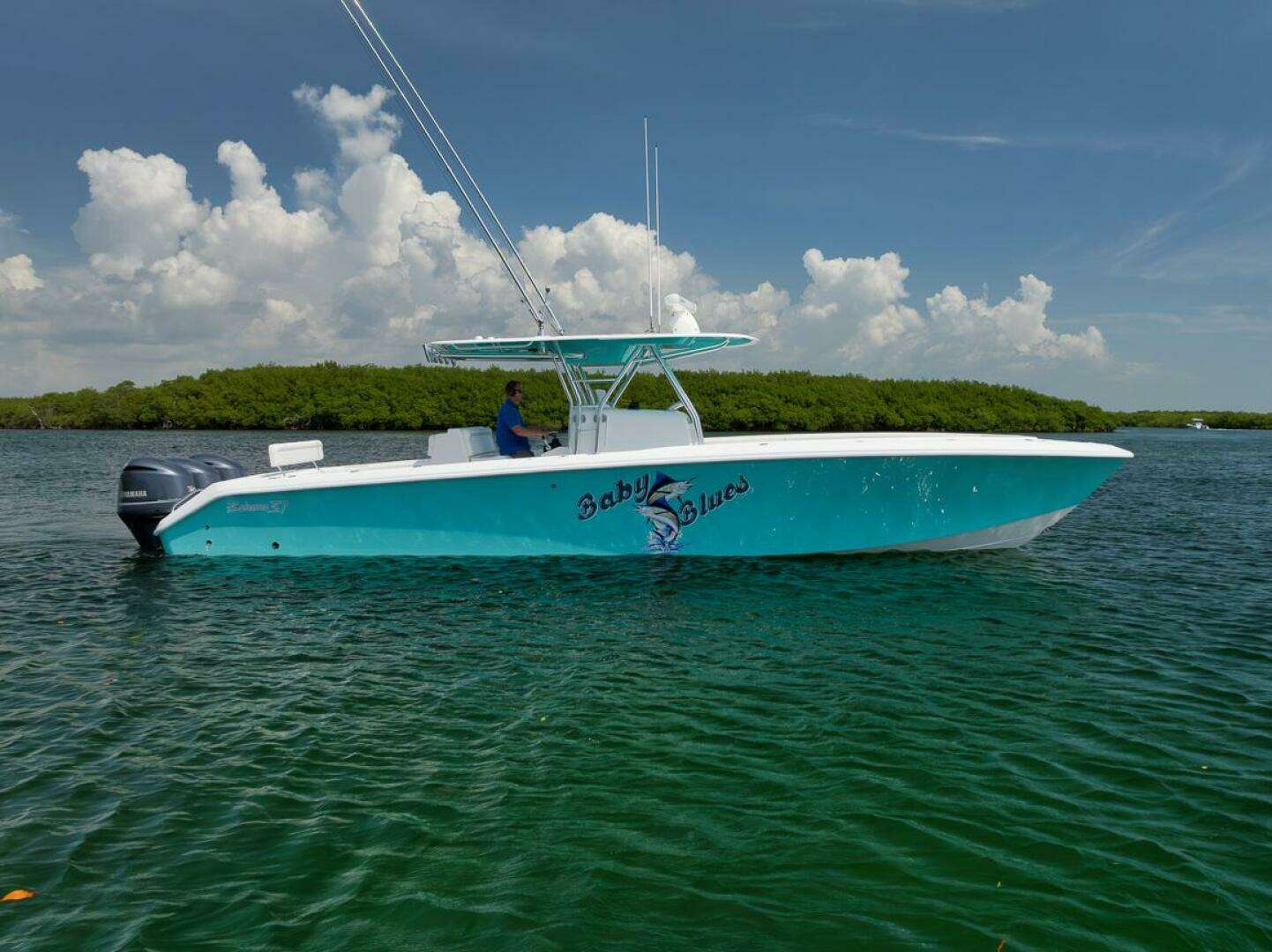 2013 Bahama — - Image 24