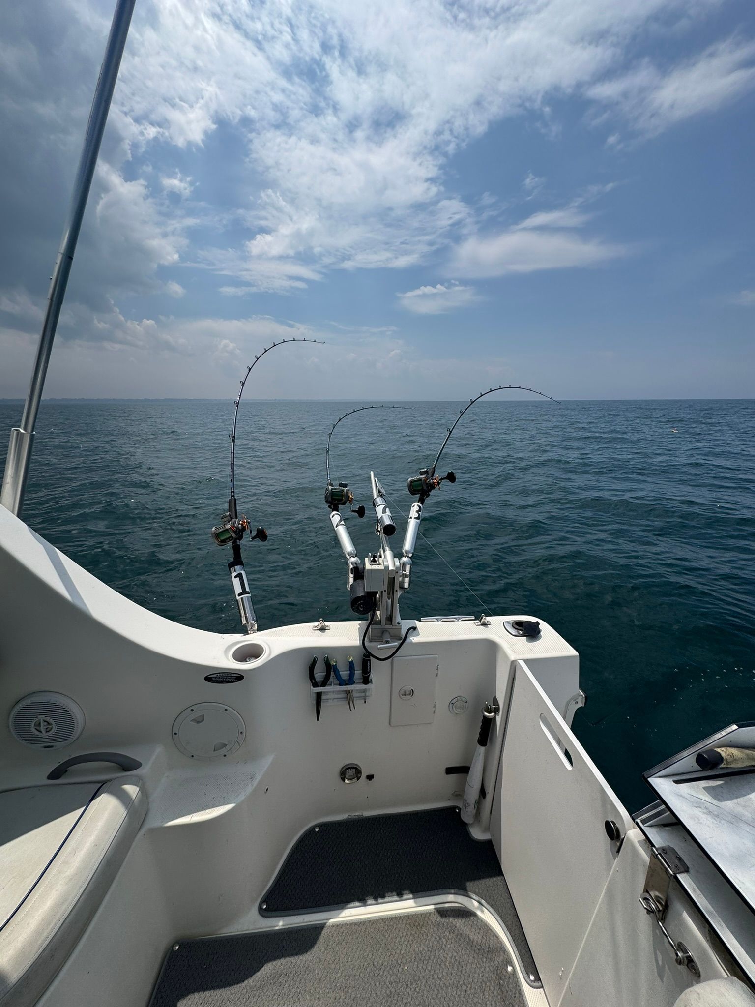 2007 Bayliner Discovery 246 - 28