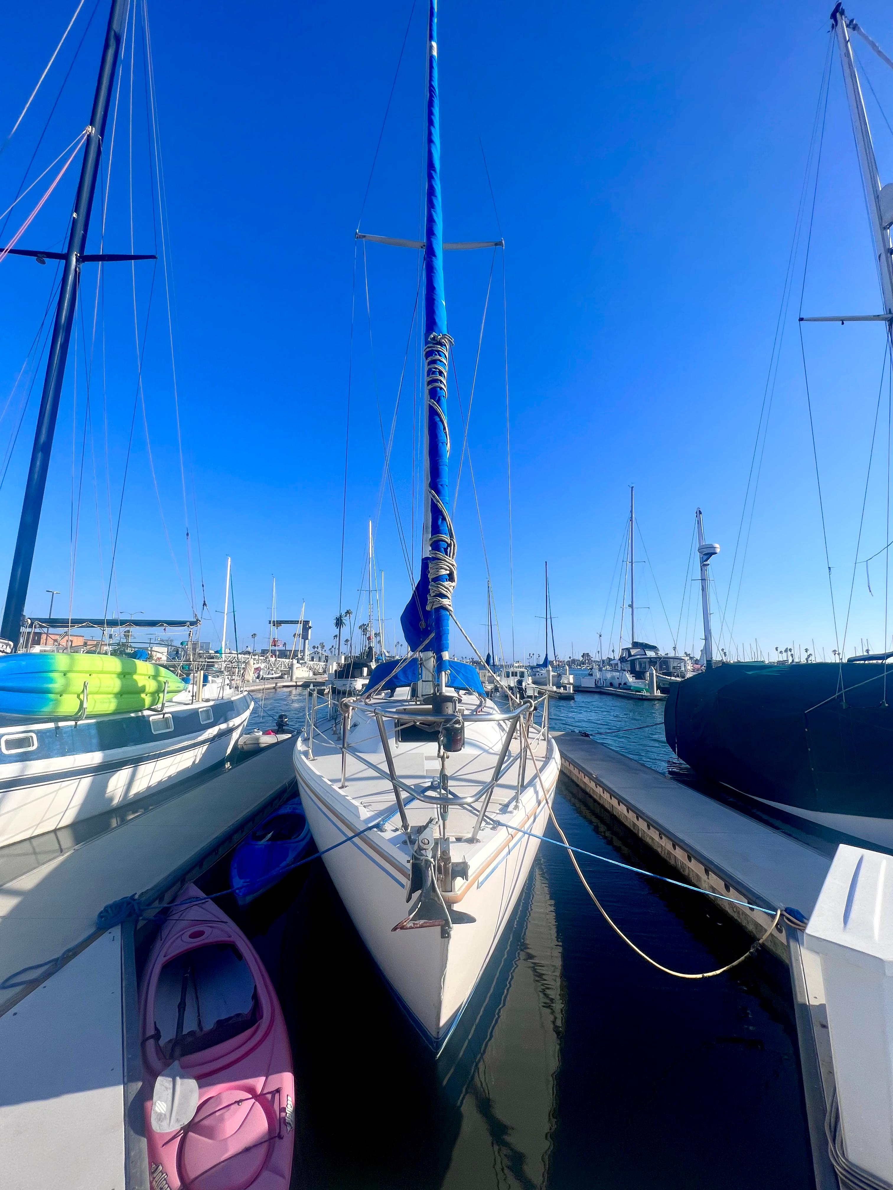 1983 Catalina 36 sailboat docked in a marina under a clear blue sky.