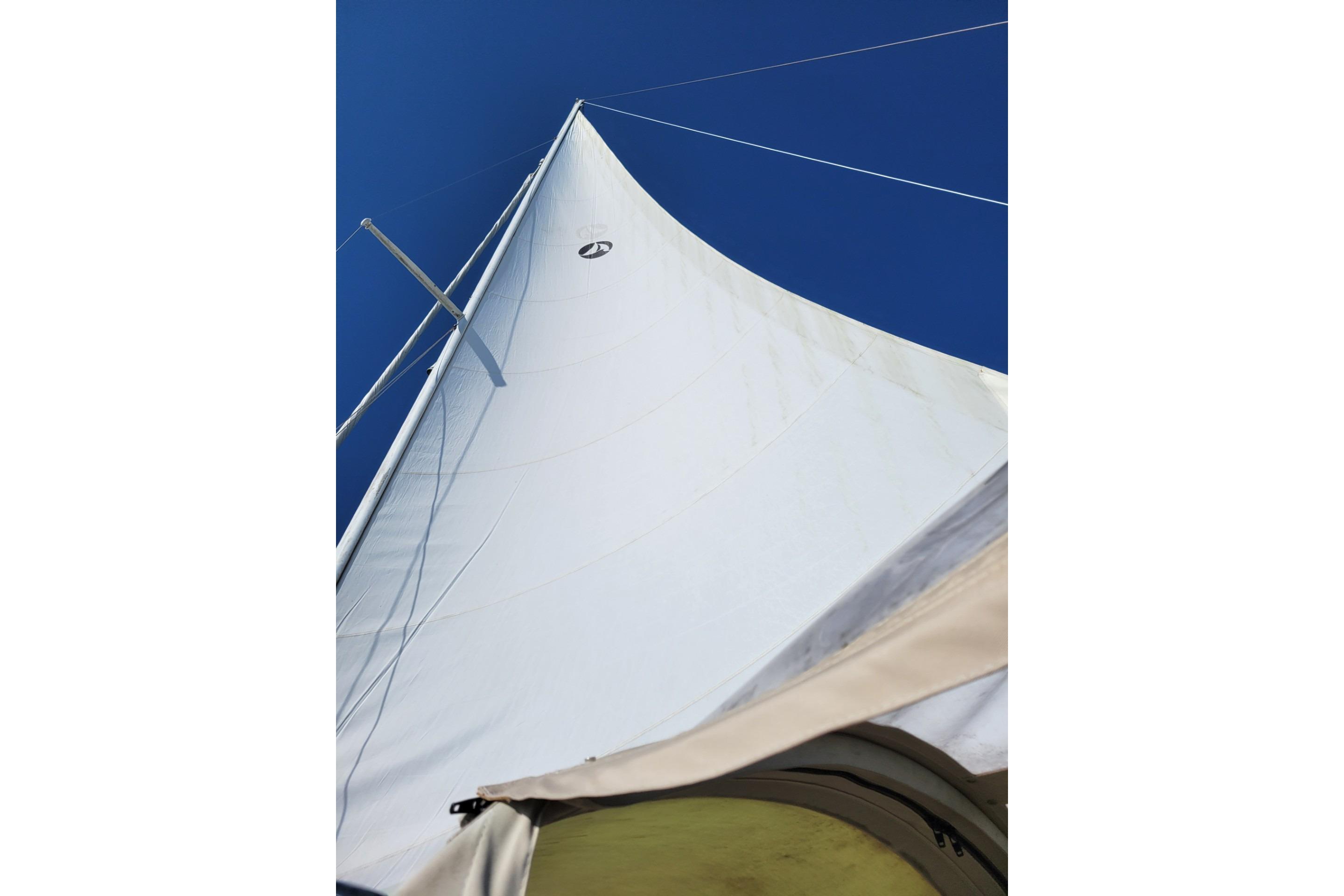 Sail of 1981 Sea Sprite 34 yacht against clear blue sky.