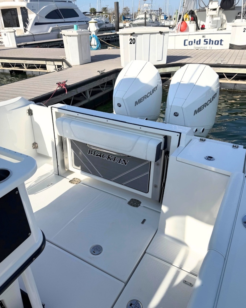 2021 Blackfin — - Image 5