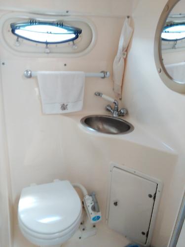 Bathroom in 2004 Rinker Fiesta Vee 250 boat.