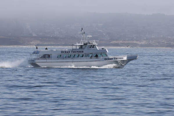 1986 Gulf Craft Passenger